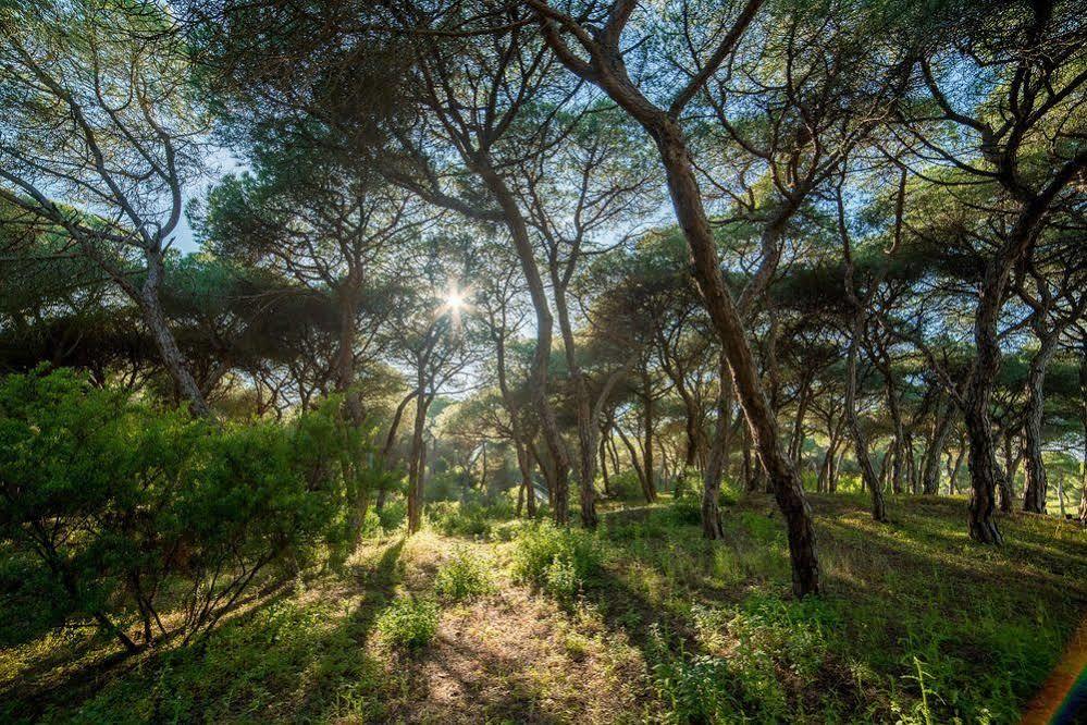 Apartamentos Costa Luz Punta Umbría Kültér fotó